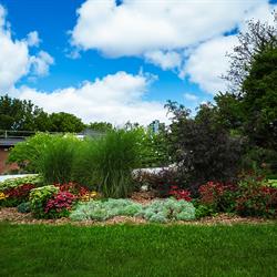 Commemorative Flower Beds